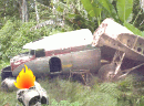 坠机求救记-
飞机坠落在一个熊洞前，想办法求救逃出。