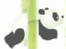熊猫竹林跳