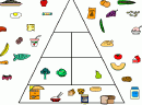 营养金字塔-搭配营养，底部是主食，第二是菜，上边的是..