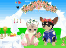 猫猫和狗狗的婚礼