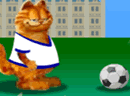 加菲猫踢足球