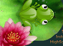 青蛙的美妙生活-有一天，在梦里你是一只绿色的青蛙，清澈的..