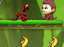 可爱小猴偷香蕉