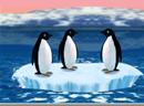 冰山颠可爱企鹅