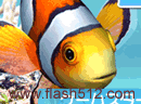 水族箱养殖小丑鱼-类似养鱼的游戏，进去后下面有3种顏色的选项..