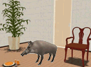逃出野猪的房间-这个游戏是在逃出白犀牛和尾驴之后的最新逃..