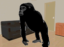 逃出黑猩猩的房间-大黑猩猩，看着有点可怕哦，一身黑黑的毛、..