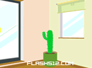 Cactus Room