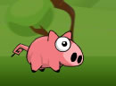 小猪快跑