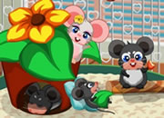 养育可爱大耳鼠-一个宠物育成的小游戏，这是一只可爱的大耳..