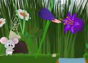大耳鼠历险记-大耳老鼠在丛林中冒险，请你来帮助它利用一..