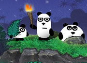 三熊猫荒岛逃生记