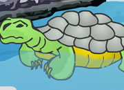 小乌龟逃出池塘