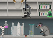 小白鼠逃离实验室-小白鼠被关在了实验室里等待着做实验，可小..