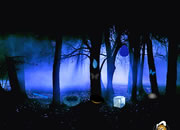 逃离阴暗森林-深夜里你困在了阴暗的森林里，没有人能帮助..