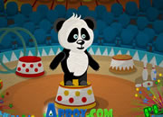 熊猫越狱历险记-帮助一只小熊猫逃出笼子，还要冒险用巧妙的..