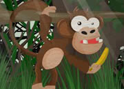 小猴逃回大森林