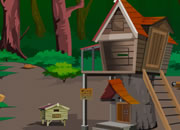 Forest Bird House Escape 