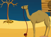 沙漠骆驼逃脱