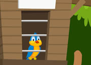 Escape Bird From Forest
