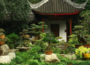 Lovely Bonsai Garden Escape