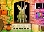 Rabbit Escape 3