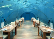 Underwater World Lounge Escape