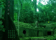 Abandoned Mayan Forest Escape