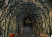 Tunnel Cave Escape