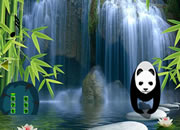 Save The Girl From Bamboo Forest