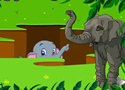 Elephant Rescue