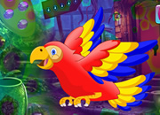 Colorful Parrot Escape
