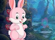 Pinky Rabbit Rescue
