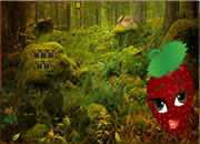 Fruit Forest Escape