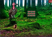 Vulture Forest Escape