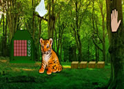 Help The Lonely Tiger Cub