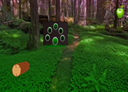 Escape From Fantasy Green Forest