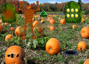 Pumpkin Man Garden Escape