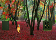 thanksgiving Red Autumn Forest Escape