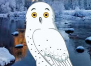 Snow Owl Escape