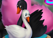 Couple Swan Escape