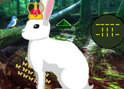 King Rabbit Escape