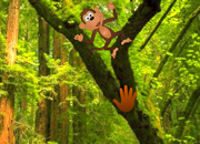 Funny Monkey Forest Escape