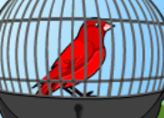 Ruby Bird Escape