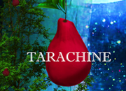 Tarachine