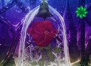 Ransom The Magical Rose