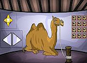 Camel Escape