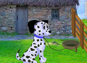 Unhitch The Dalmation Dog