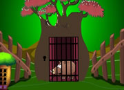 Brown Piggy Escape