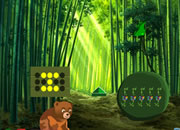 Animals Bamboo Jungle Escape